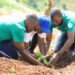 I Kirehe hatewe ibiti by’imbuto mu bihe bidasanzwe, abaturage basabwa kubibungabunga