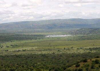 Abahoze ari ba rushimusi muri Pariki y’Akagera barabiretse batera imbere