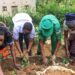 Bugesera: Abagore bakoze umuganda wihariye wibanze ku isuku n’imirima y’igikoni