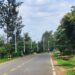 Impinduka zazanwe no kuba umuhanda Nyagatare–Musheri–Kagitumba waracaniwe
