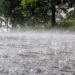 Meteo Rwanda yateguje imvura nyinshi mu Ntara y’Iburasirazuba
