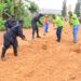 Bugesera: Umuganda usoza Gashyantare waranzwe no gusana imihanda no gutera ibiti