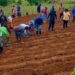 Ngoma: Abahinzi basabwe gukoresha inyongeramusaruro zigezweho