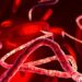 Minisiteri y’Ubuzima yasohoye amabwiriza mashya yo gukumira Ebola mu bigo by’ubuvuzi