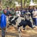 Abaturage 900 borojwe amatungo mu bikorwa by’Ingabo na Polisi i Burasirazuba