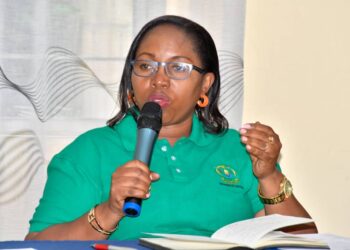 Meya Niyonagira yasabye abaturage b’i Ngoma kwitegura imvura nyinshi n’umuyaga