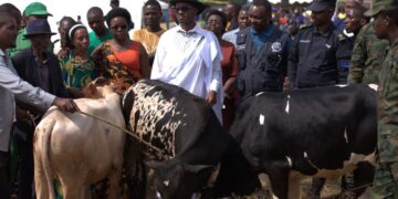 Kirehe: Imiryango itatu yorojwe inka ku munsi w’Umuganura(Amafoto)