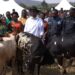 Kirehe: Imiryango itatu yorojwe inka ku munsi w’Umuganura(Amafoto)