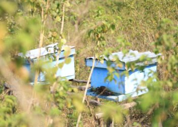 Ubuvumvu bwahinduriye ubuzima ab’i Gahara bahoze mu ngeso mbi