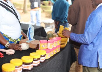 Rwamagana: Imishinga irengera ibidukikije yashakiwe igishoro n’amasoko