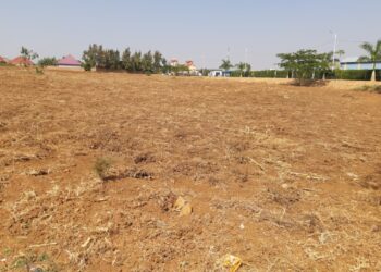 Ubuhinzi budakomeretsa ubutaka bubonwa nk’igisubizo cyo kongera umusaruro no guhangana n’ihindagurika ry’ibihe