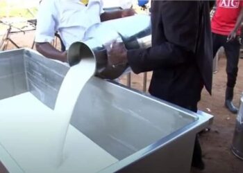 Aborozi bijejwe ko hagiye kugenwa igiciro cyihariye cy’amata