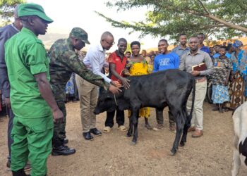 Hatangijwe ukwezi k’Ubumwe n’Ubudaheranwa, imiryango ibiri y’i Mahama yorozwa inka