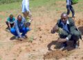 Nyagatare: Hatewe ibiti ibihumbi bitanu bya kawa mu itangizwa ry’igihembwe cy’ihinga