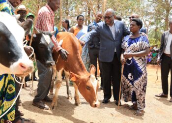 Imiryango 15 y’i Nyamugari yorojwe inka ku munsi mpuzamahanga w’Umugore wo mu Cyaro